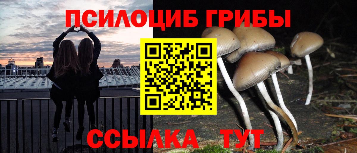 Псилоцибиновые грибы мухоморы Нижневартовск